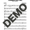 Cambio de Piel - Image 4